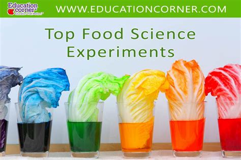 science experiment examples for students