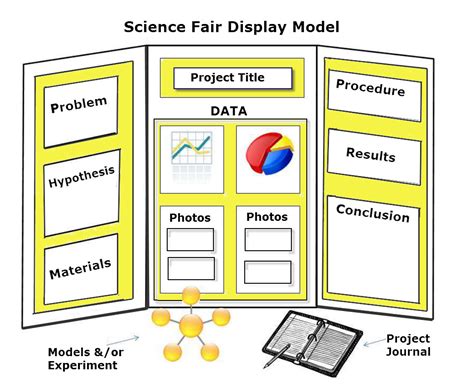 science experiment poster board layout
