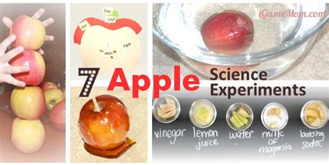 Science Experiments With Apples