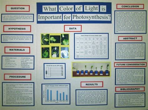 science fair project board samples