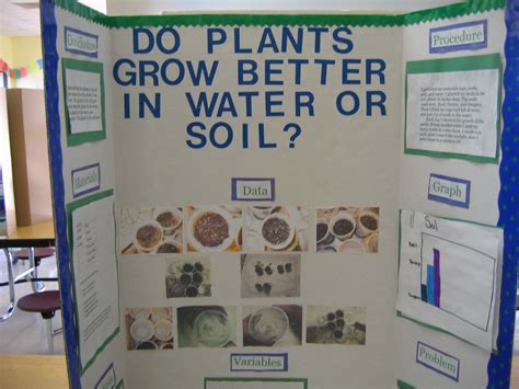 science fair projects plants water