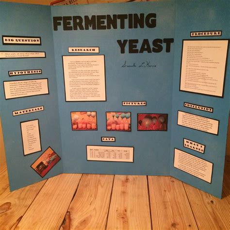 Science Fair Projects Yeast Fermentation