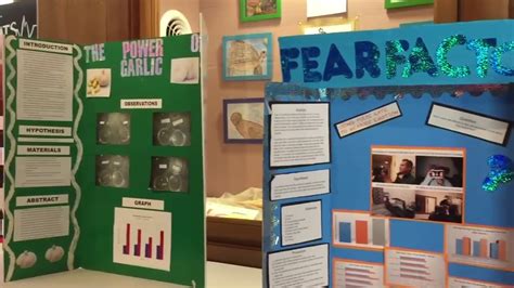 Science Fair Zoo
