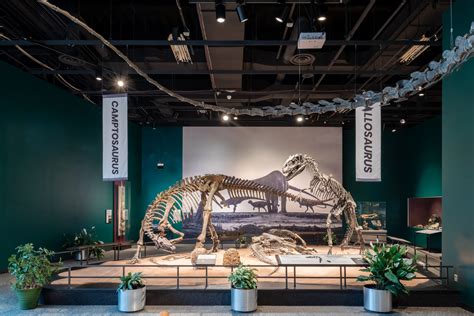 Science Museum Bloomington Mn