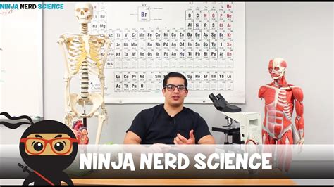 Science Ninja Nerd