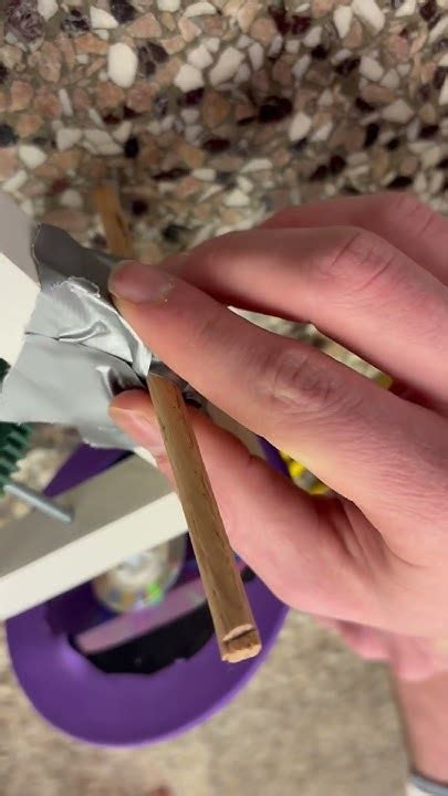 Science Olympiad Impound