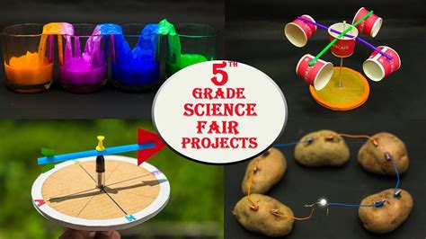 science projects for class 5 evs