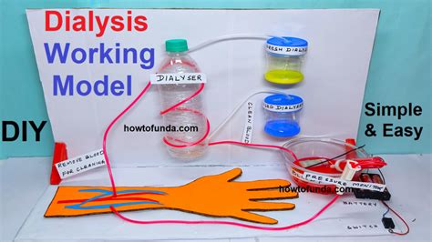 science projects for class 5 with explanation