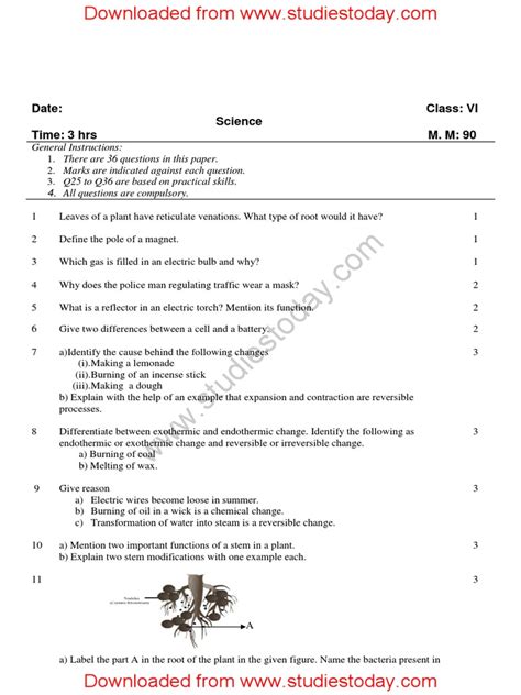 science questions for class 6 with answers
