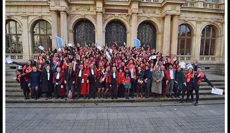 SciencesPo Lyon Alumni Votre communauté en ligne