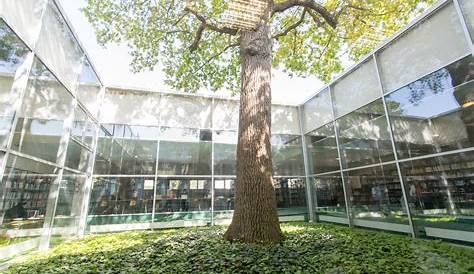 La bibliothèque de Sciences Po à Rennes... Blog de