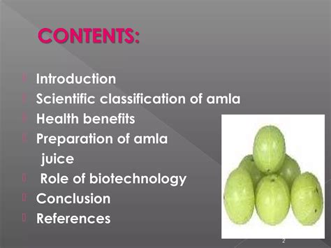 Everything You Need To Know About Amla’s Scientific Classification