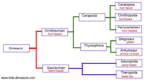 The Scientific Classification Of Dinosaurs Explained For Beginners (2025 Guide)