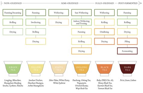 The Scientific Classification Of Tea: What Exactly Is It?