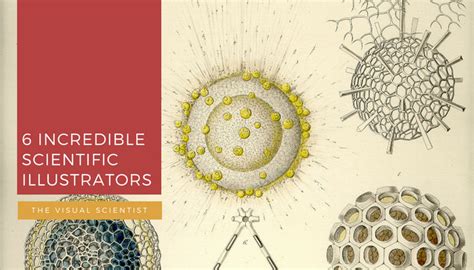 Scientific Illustrators