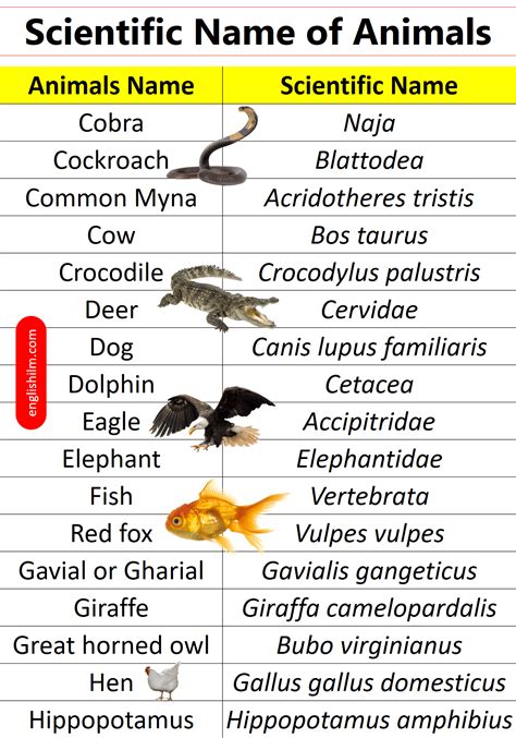 scientific names for random things