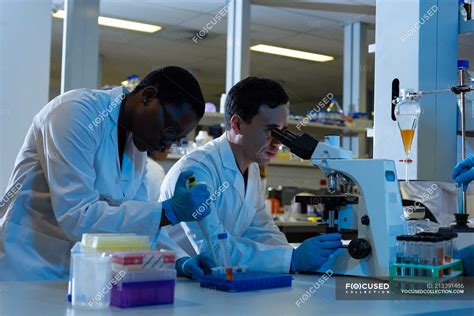 Scientists experimenting in a laboratory