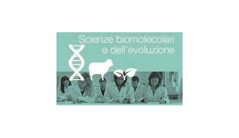 METODOLOGIE DI BASE PER LE SCIENZE BIOMOLECOLARI - LibriScientifici.com