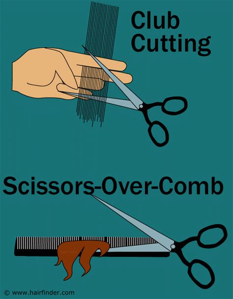 Scissors Cutting Techniques