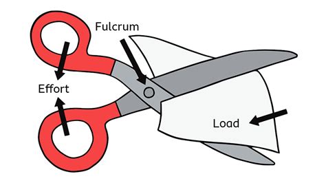 Scissors Example Of Lever