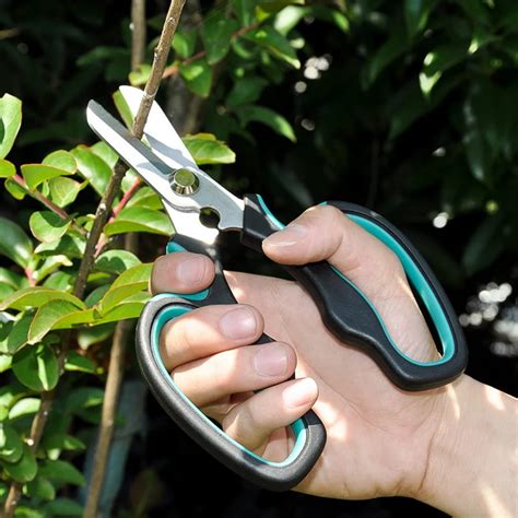 Scissors For Garden