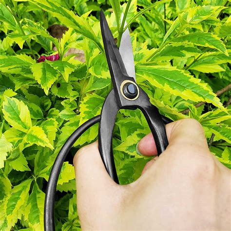 Scissors For Gardening Uses