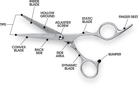 Scissors How Does It Work