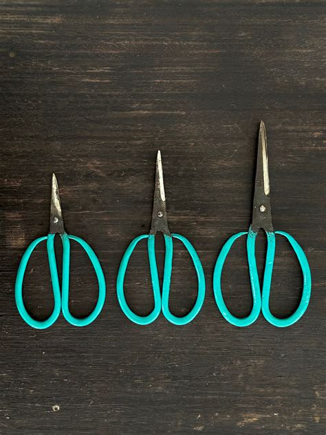 Scissors In Vietnamese