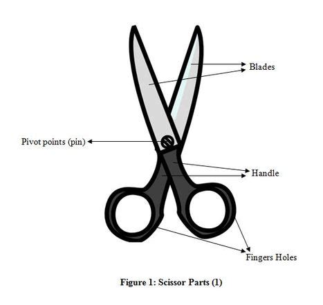 Scissors Pivot Point