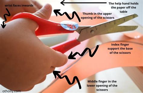Scissors While Cutting