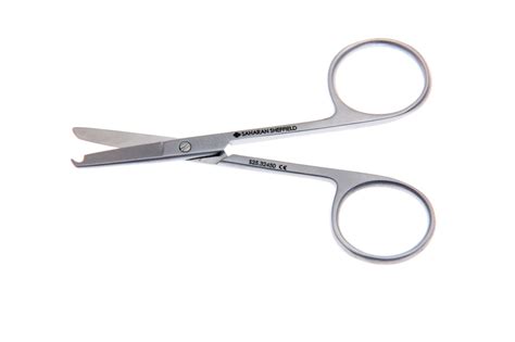 Scissors With Hook On End
