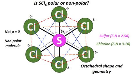 scl6 polar or nonpolar