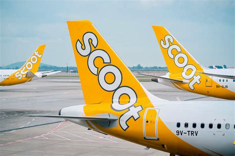 Scoot Airline Perth Terminal