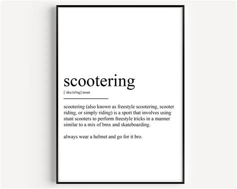 scootering meaning