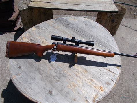 Scope For 243 Remington Model 788 Rifle