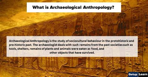 scope of archaeological anthropology