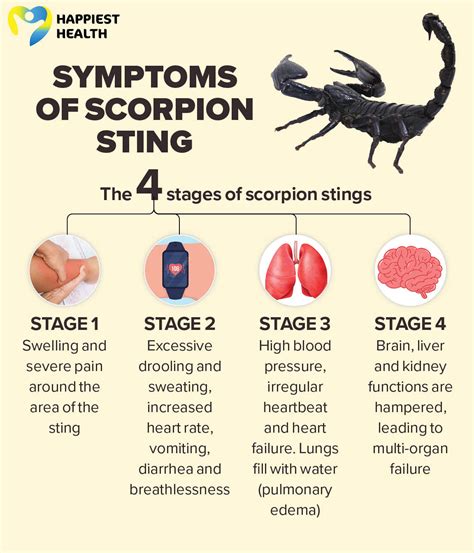 Scorpion Bite Symptoms: What to Look Out For and When to Seek Help
