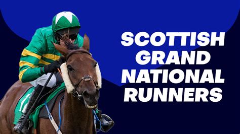 scottish grand national entries