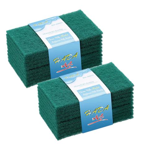 Scouring Pad And