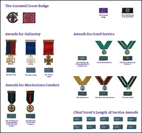 scout awards for good service
