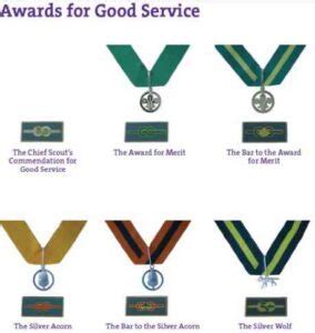 scout higher good service awards
