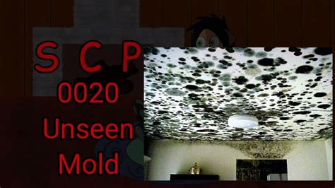 scp 0020