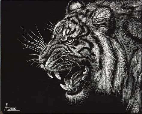 Scratch Art Tiger