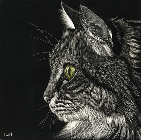 Scratch Board Art Animals