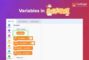 Scratch Data Types