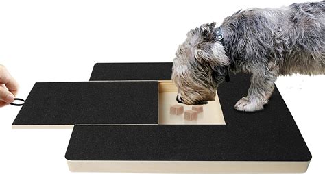Introducing Scratch Square For Dogs - The Perfect Way To Keep Your
Pooches Entertained
