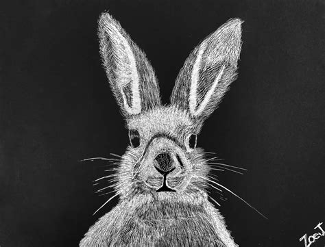 Scratchboard Ideas For Beginners