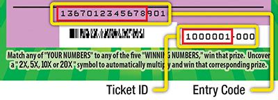 Scratcher Entry Code