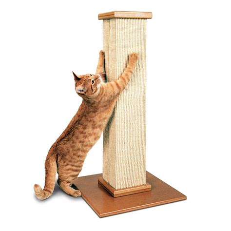 scratching post