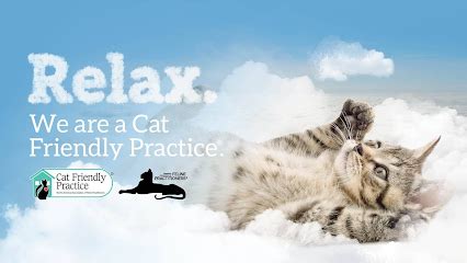 Scratching Post Hospital